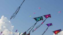 Jesolo Beach & Kite 2027 Jesolo Beach & Kite 2027
